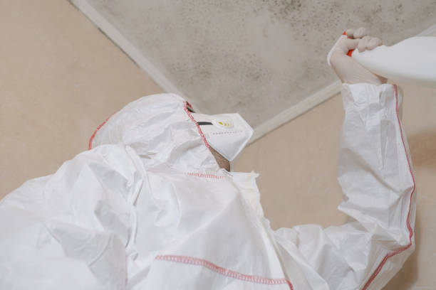 Asbestos and Lead Testing During Mold Inspection in Wesley Hills, NY